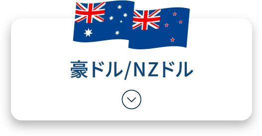 豪ドル/NZドル