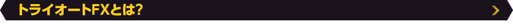 トライオートFXとは？