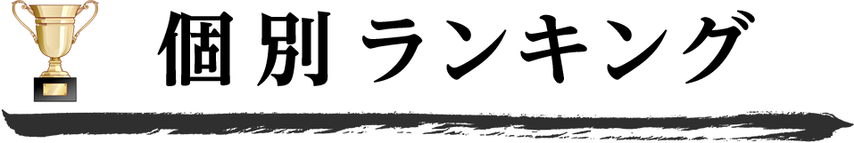 個別ランキング